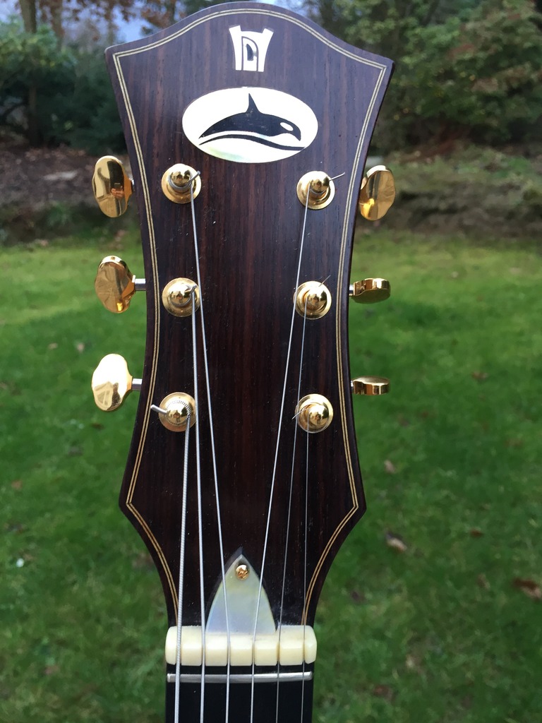 Henning Doderer acoustic archtop-img_4101_zpsdinrftb2-jpg