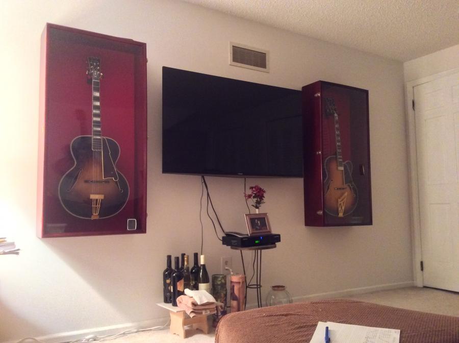 Guitar Display Cases-image-jpg