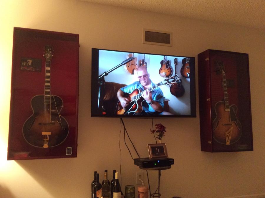 Guitar Display Cases-image-jpg