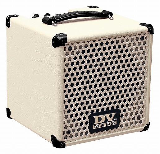 SWR Strawberry Blonde Acoustic Amp Poor Man's Jazz Amp???-dv-little-jazz-jpg