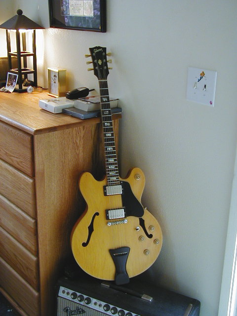 Mr. Wu 18 Inch archtop build-p2160007-jpg