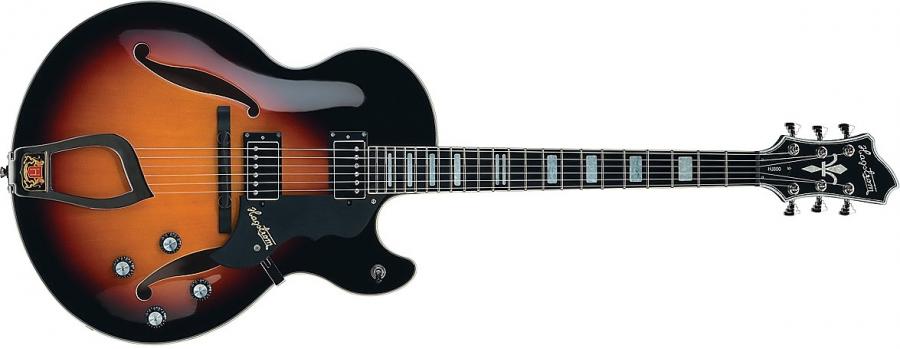 Versatile 'Jazz guitar' for newish jazzer?-5949-desktop-jpg