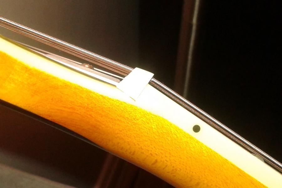 Played a New D'Angelico Standard EXL-1 Today-nut-jpg