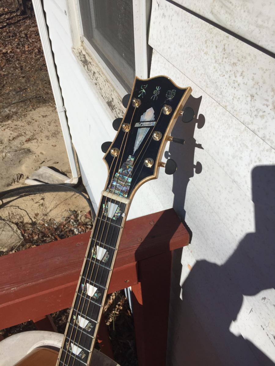 Ms Lora/Mr Wu Special Dream Guitar-image-jpg