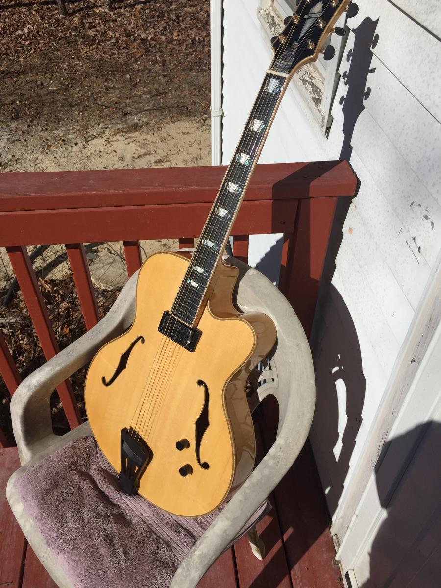 Ms Lora/Mr Wu Special Dream Guitar-image-jpg