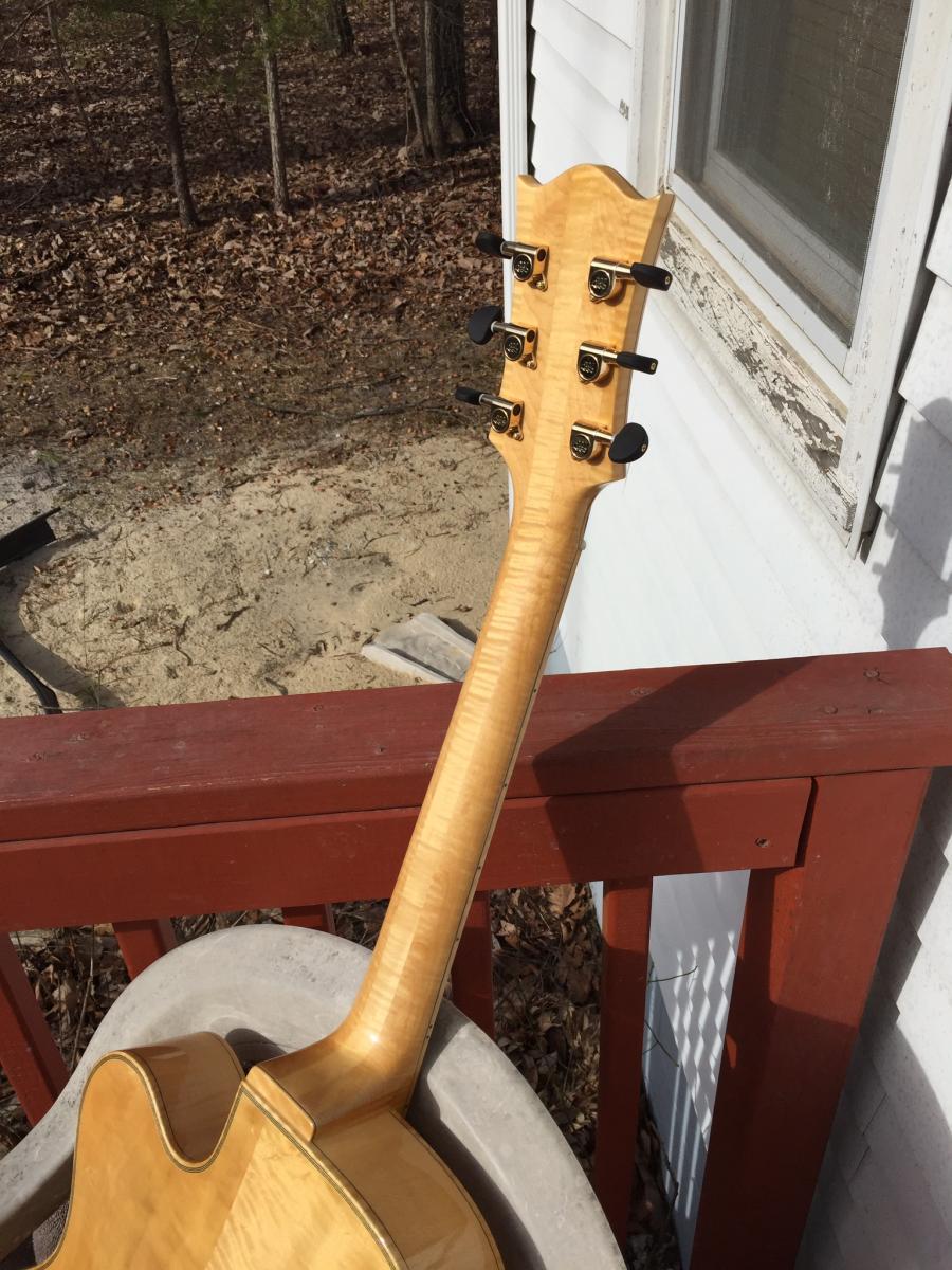 Ms Lora/Mr Wu Special Dream Guitar-image-jpg