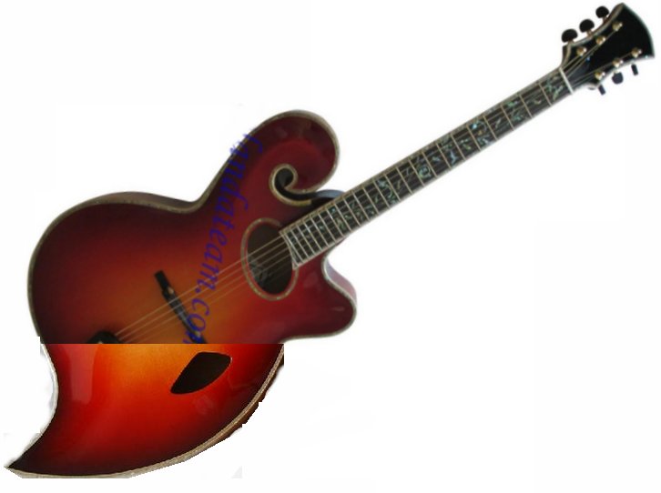 Ms Lora/Mr Wu Special Dream Guitar-hybrid_wu-jpg