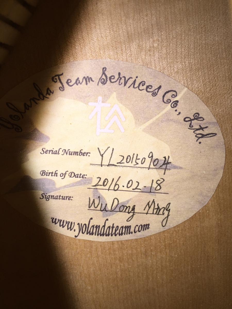 Ms Lora/Mr Wu Special Dream Guitar-image-jpg