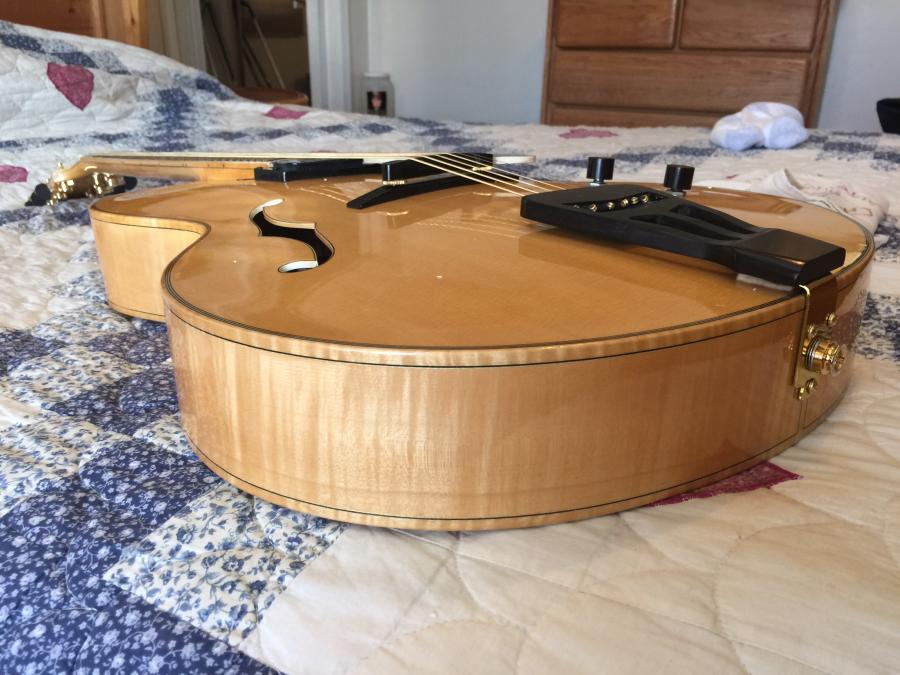 Ms Lora/Mr Wu Special Dream Guitar-image-jpg