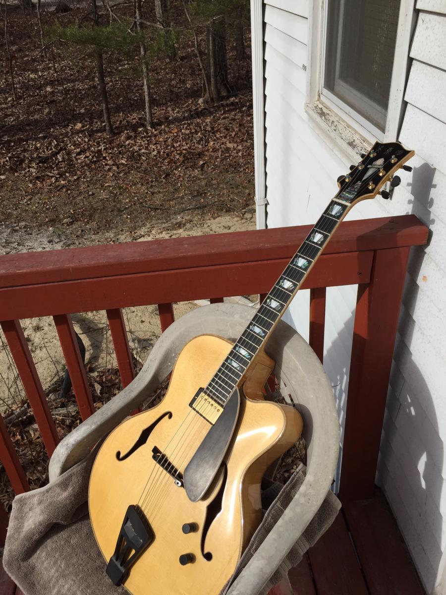 Ms Lora/Mr Wu Special Dream Guitar-image-jpg