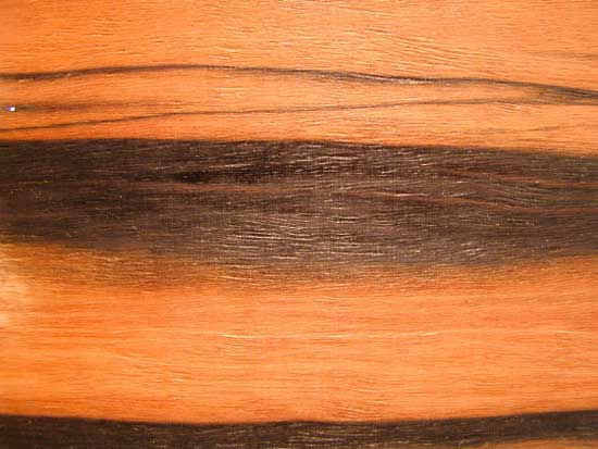 Rosewood Fingerboards-126242-004-9c542821-jpg