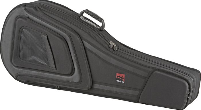 Trying to pick between 2 gig bags-dv016_jpg_large_543017_r-jpg
