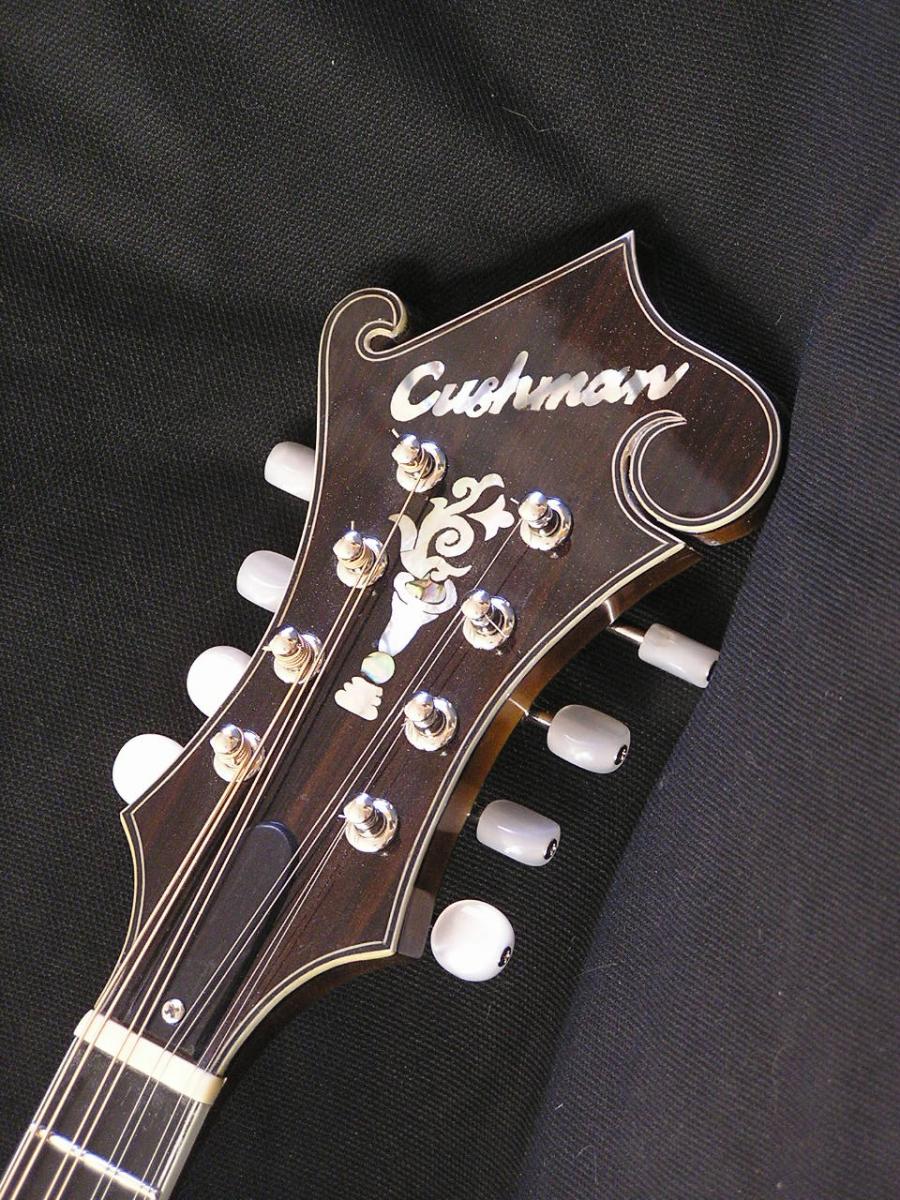 Re-spray/paint Tele body?-manddolin-142-005-jpg