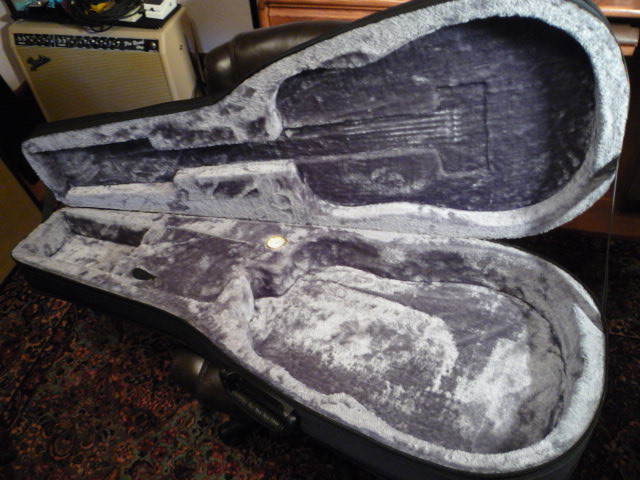 Gig bag for a Gibson Kessel?-wolfpak_zps7bw0qbqo-jpg