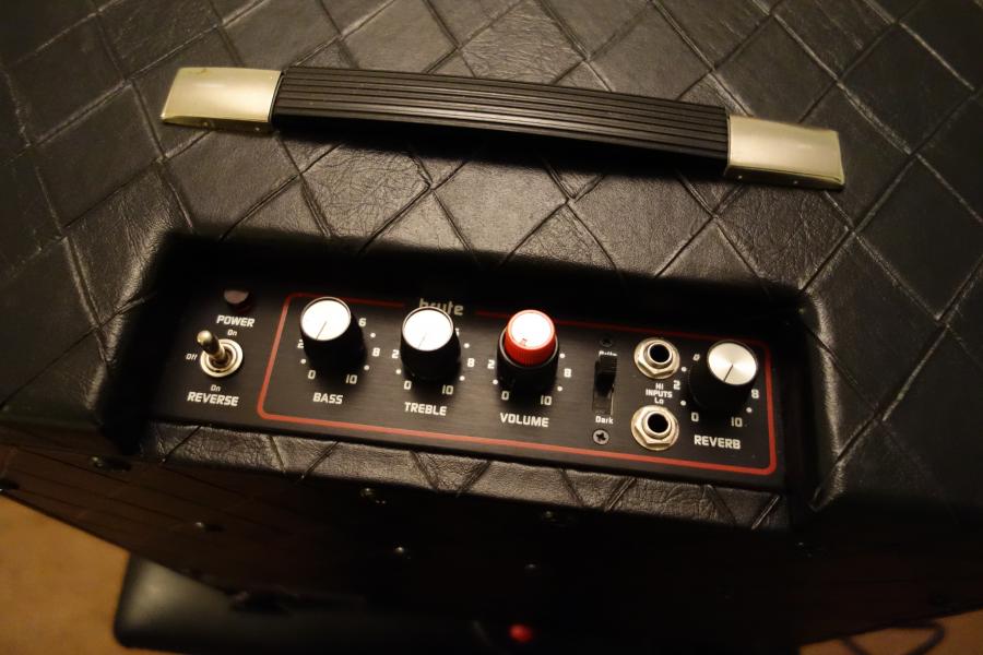 Polytone Mini Brute IV-dsc02306-jpg