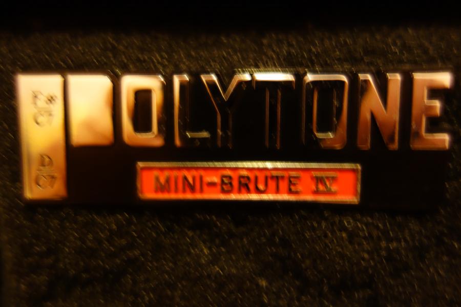 Polytone Mini Brute IV-dsc02324-jpg
