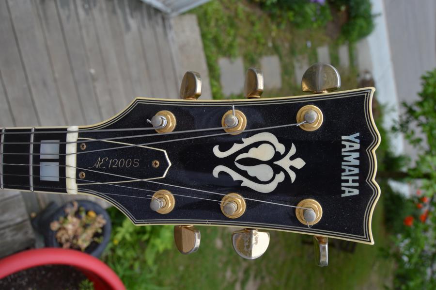 Who makes the best Gibson L-5 copy?-dsc_0221-jpg