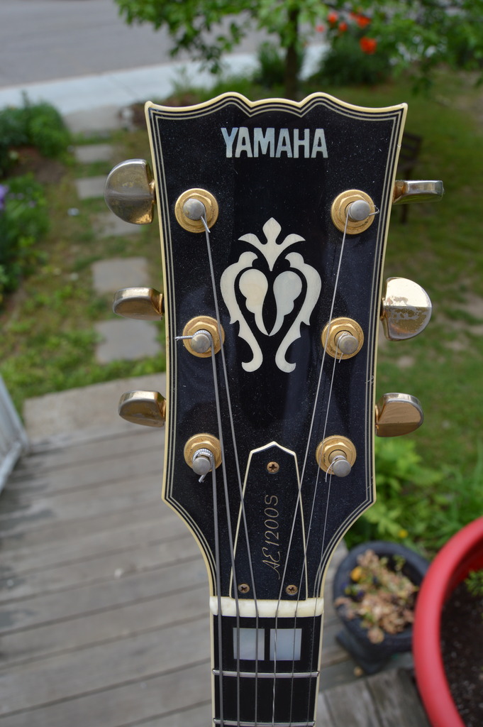 Who makes the best Gibson L-5 copy?-dsc_0221_zps8372jf6x-jpg