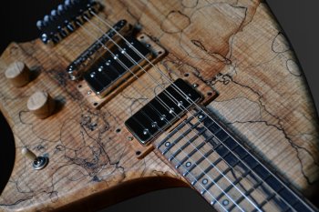 How many guitars do you have, and do you need them all?-orion-spalt-jpg