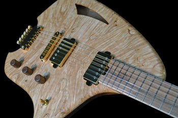 How many guitars do you have, and do you need them all?-orion-hollow-jpg