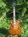 How many guitars do you have, and do you need them all?-29pvg9i_th-jpg