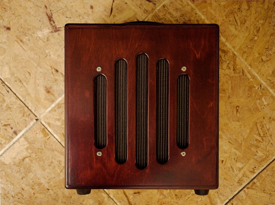 Amp Question - - How Close to this '60's Ampeg Sound Can I Get ?-f9c8310499666e85-sequelravine-frontcopy4-jpg
