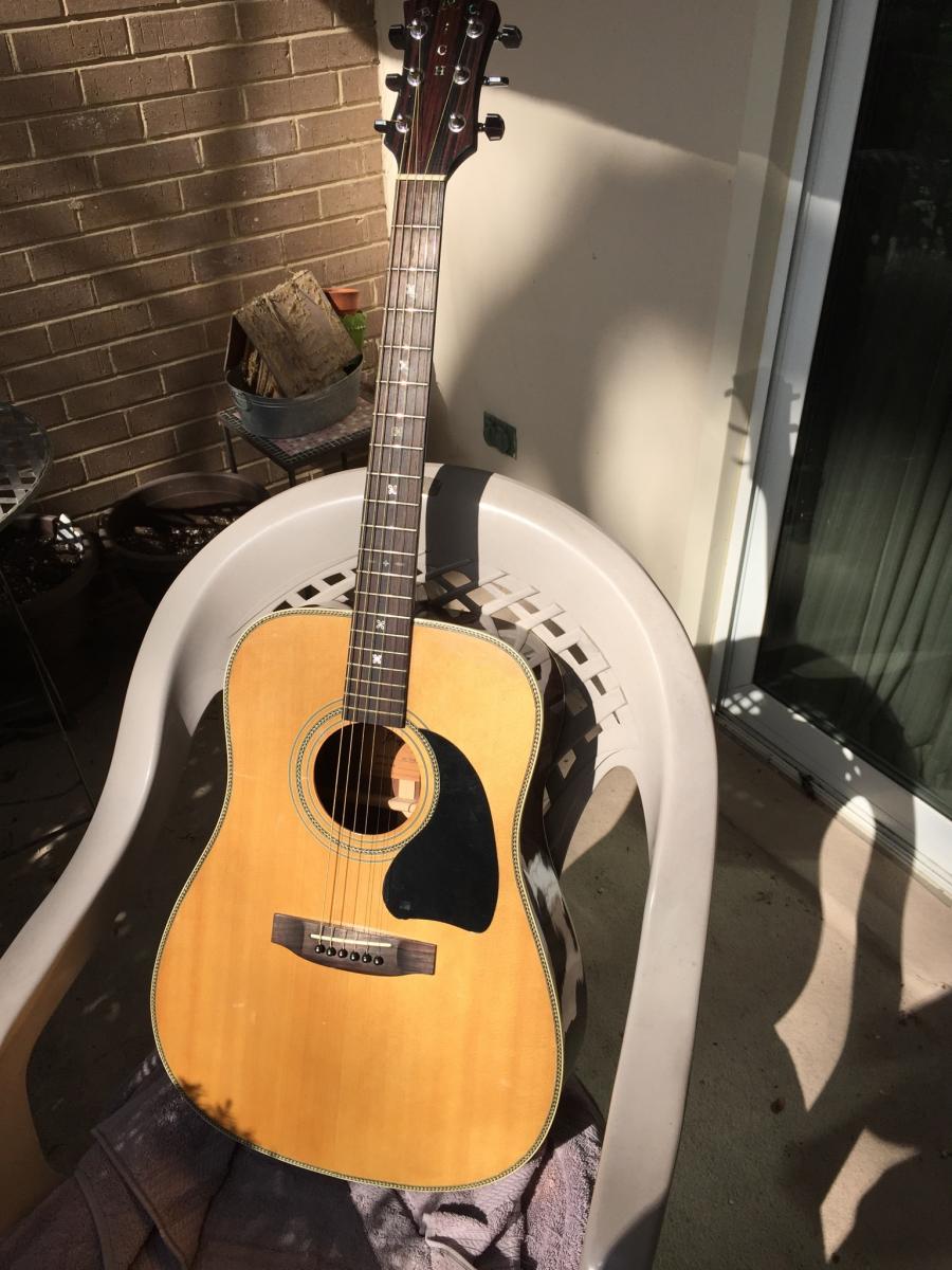 Mr. Wu Acoustic Flattop Guitar...-image-jpg