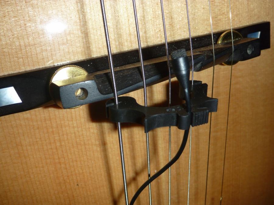 Goose neck condenser for archtop-p1040269-1024x768-jpg