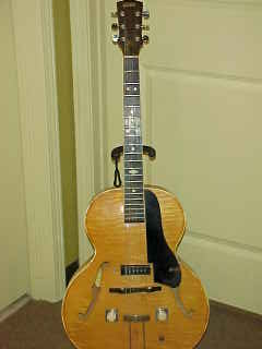 What's your most rare guitar model-vega-jpg