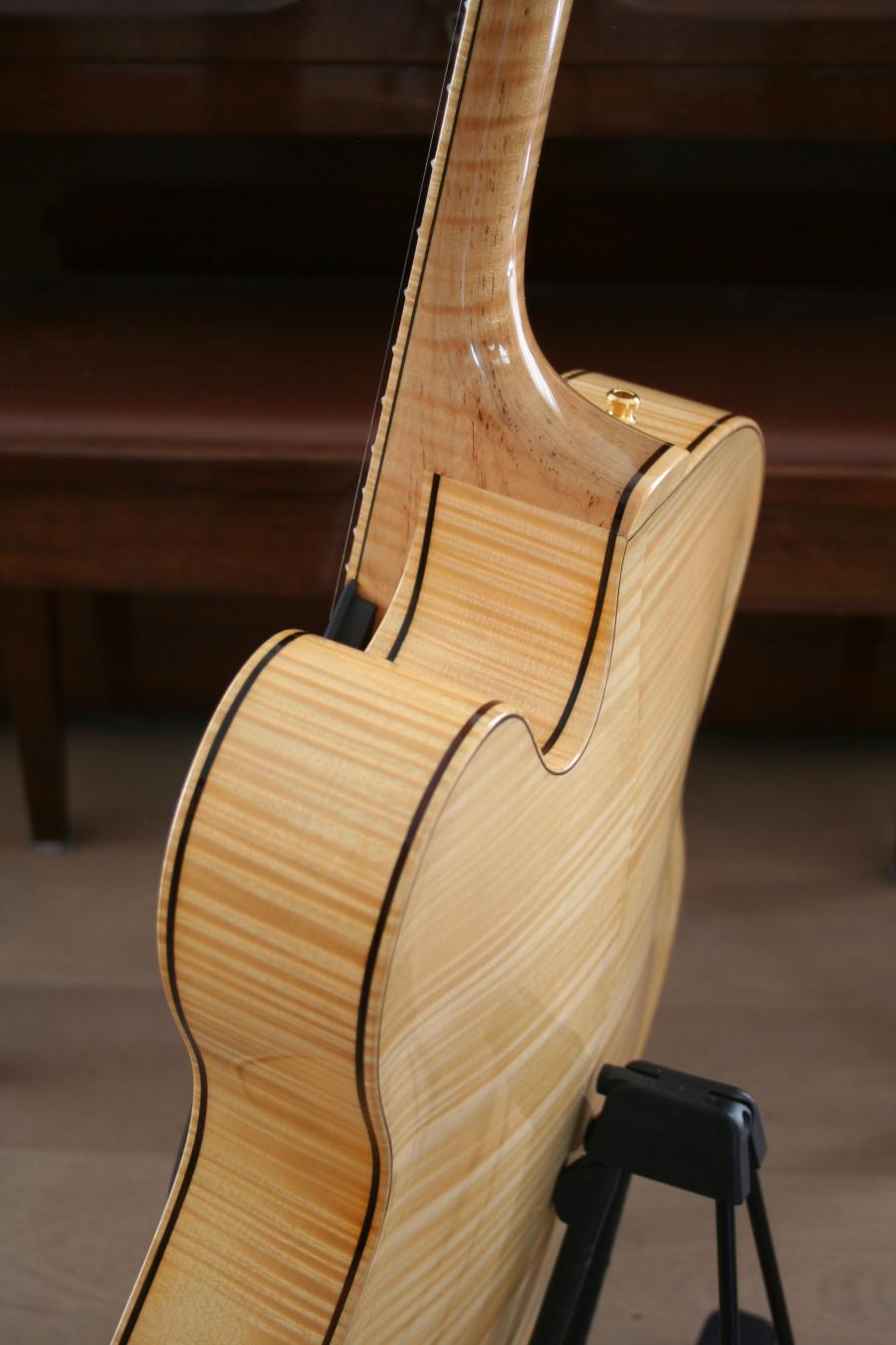 What's your most rare guitar model-image-jpeg