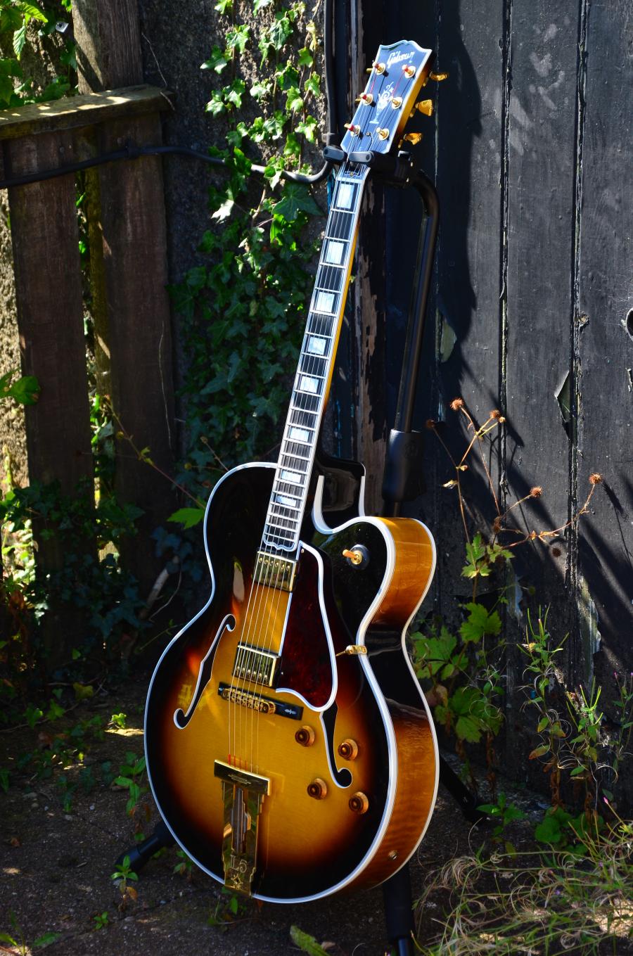 The Venerable Gibson L-5-dsc_7816-jpg
