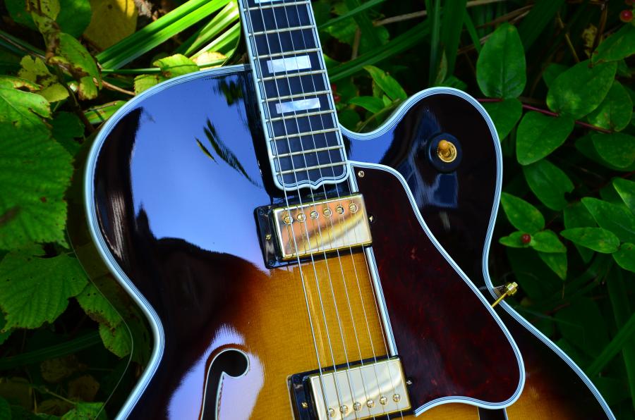 The Venerable Gibson L-5-dsc_7832-jpg
