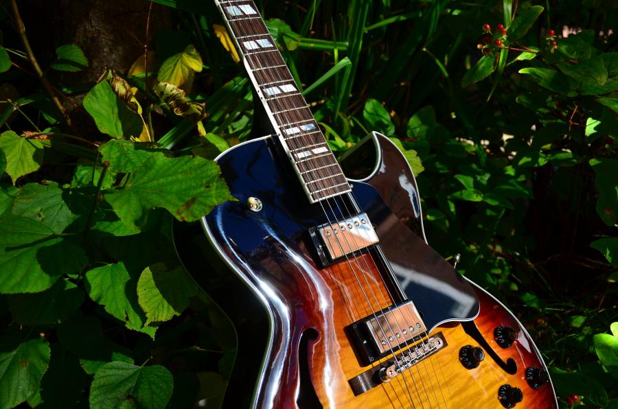 The Venerable Gibson L-5-dsc_7915-jpg