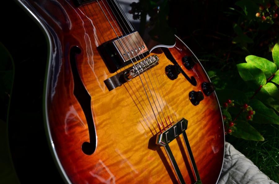 The Venerable Gibson L-5-dsc_7912-jpg