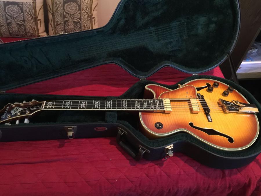 The Ibanez Feel-12976848_10153655757712239_924427227271628193_o-jpg