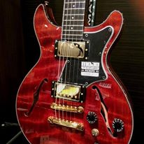 small bodied guitars - hollow and semi-hollow?-13125_912559725498577_5336652678672540252_nrrrrrrrrrrrrrrrrrrrrrrrrrrrrrrrrrrrrrrrrrrrrrrrrrrrrr-jpg