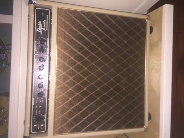 Sebago Sound Texas Flood 1x12 Combo-img_8970-jpg