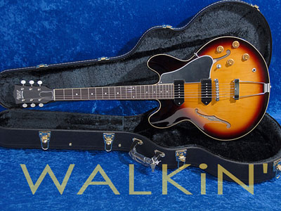 Seventy Seven ExRubato - Inexpensive ES-330 style alternative-290082t-jpg