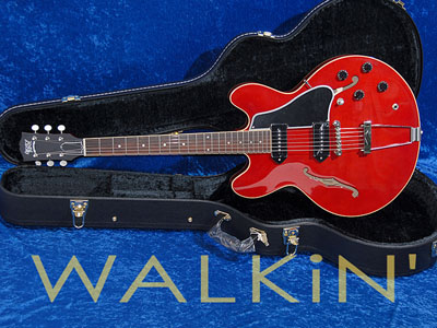 Seventy Seven ExRubato - Inexpensive ES-330 style alternative-290162t-jpg