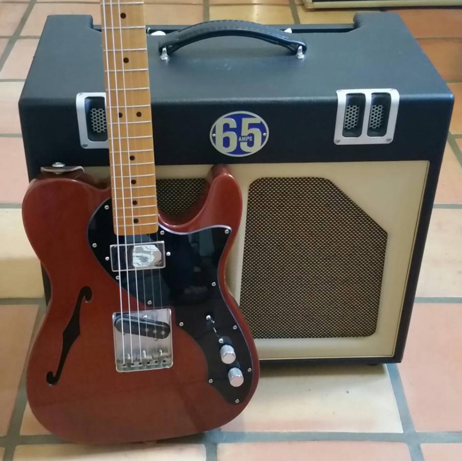 anyone switched from archtop to a Tele..yes me-12243485_10153896297461535_4859362679893626215_n-jpg