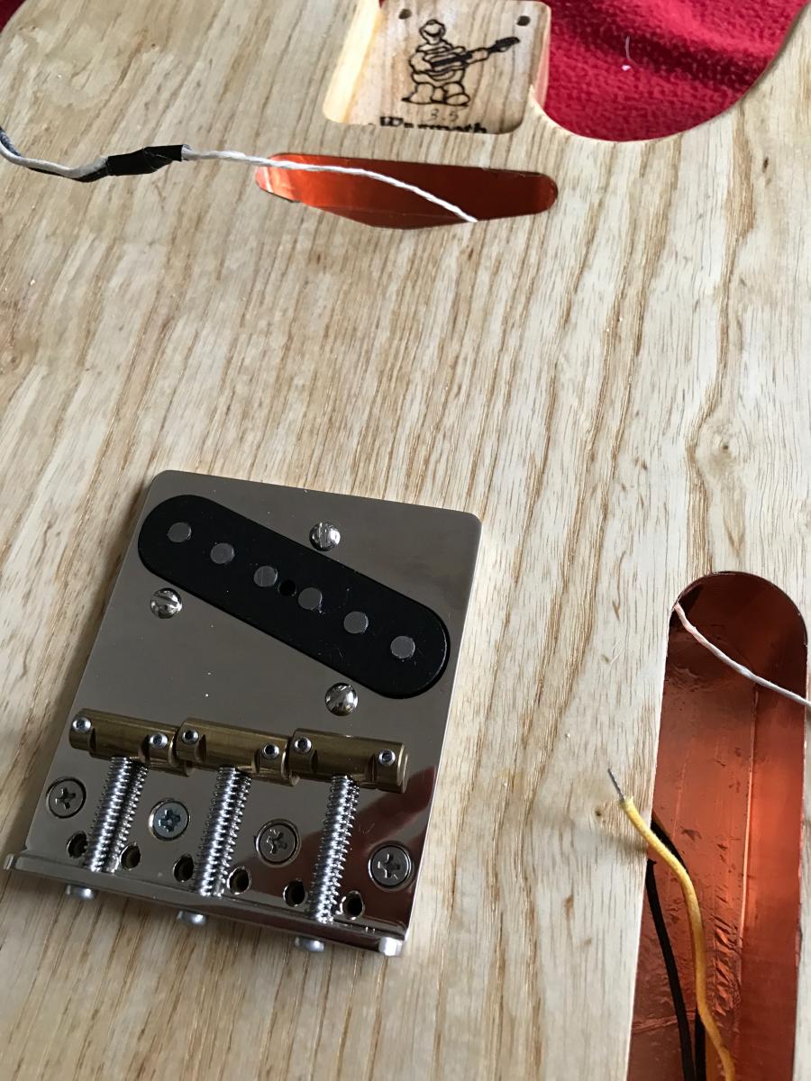 Building a Partscaster tele-img_5344-jpg