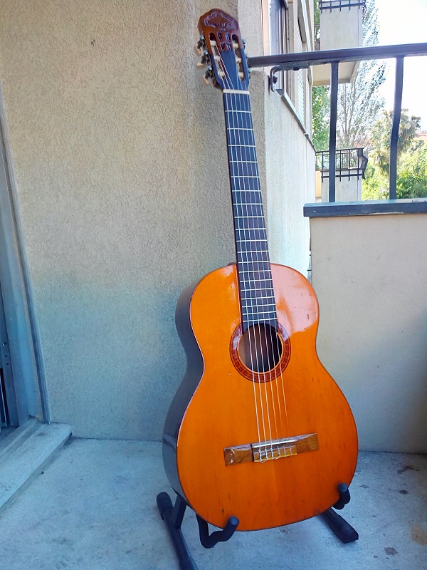 How Many Guitars Do You Own?-img_20140503_181513_1_s-jpg