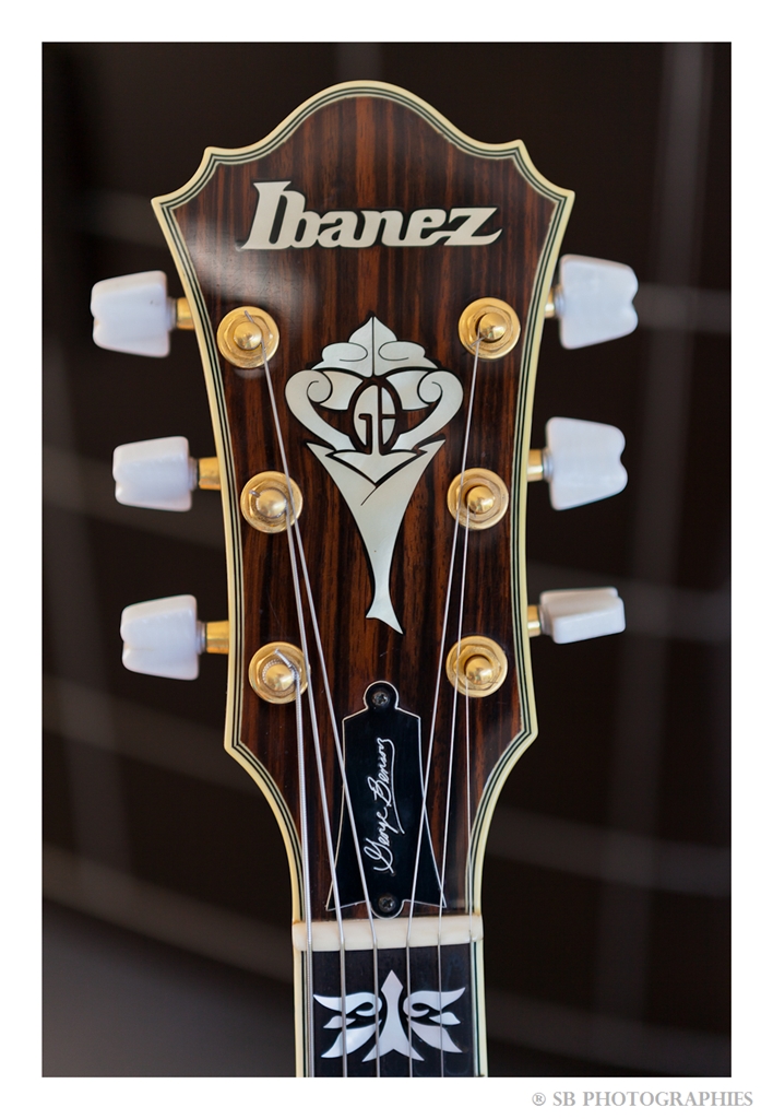 Ibanez George Benson collection-_mg_6860_gf-jpg