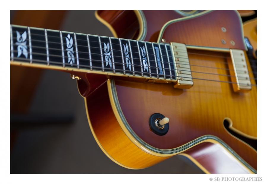 Ibanez George Benson collection-_mg_6862_gf-jpg