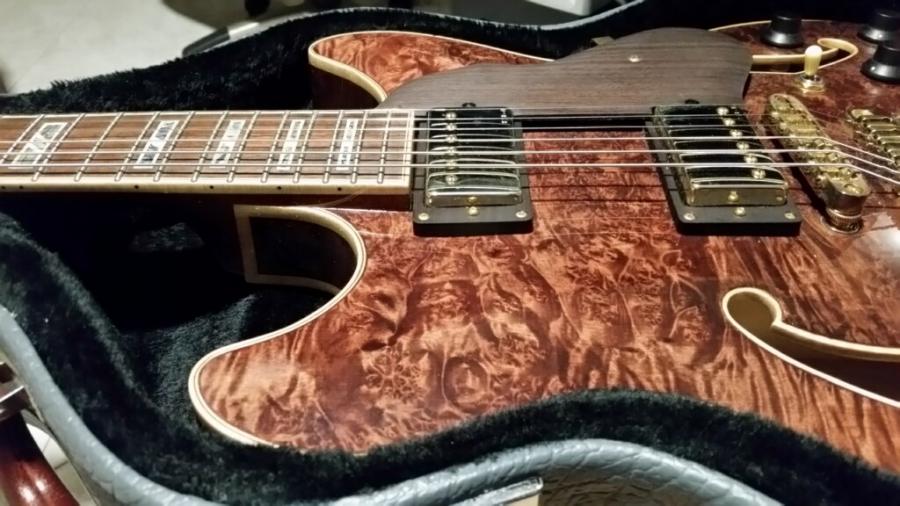 Ibanez AS103bmnt12-img_1410-jpg