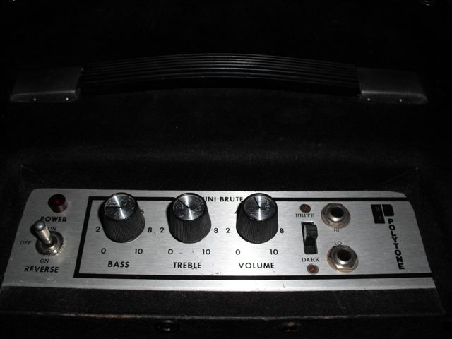 Polytone in a Pedal-ptbrute-jpg