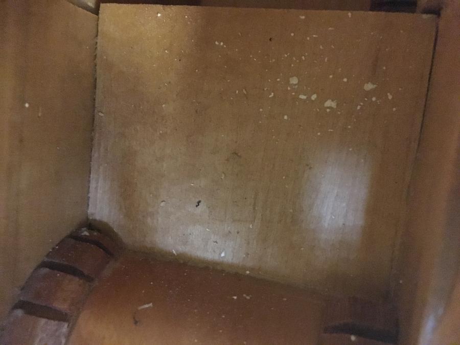 Gibson L-5 CES Copies and the Real Thing-img_5935-jpg