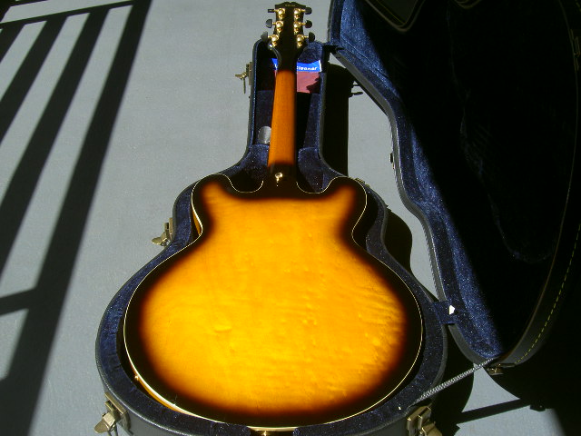 Peerless Renaissance - What else compares ?-pict5594-jpg
