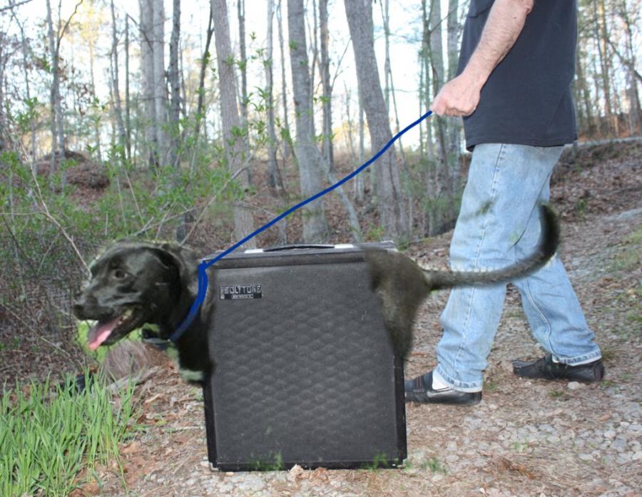 Is playing an amp like exercising it?-earlamp-jpg