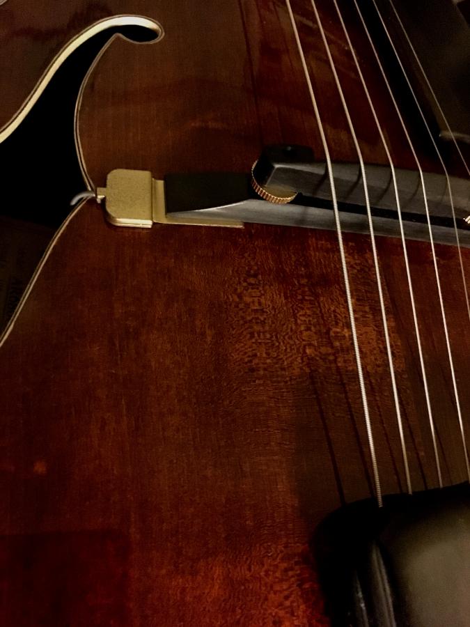 Solid Wood Archtop with Set Humbucker and Transducer Mic-fullsizerender-4-jpg